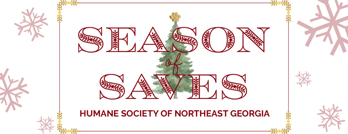 Season of Saves 2024 - Home for the Pawlidays